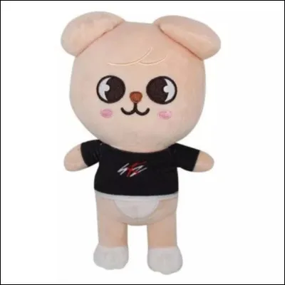 Qui est le membre &agrave; qui appartient le Skzoo sur la photo ?