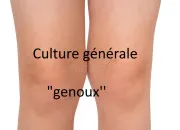 Quiz La culture générale donne un coup de ''genou'' !