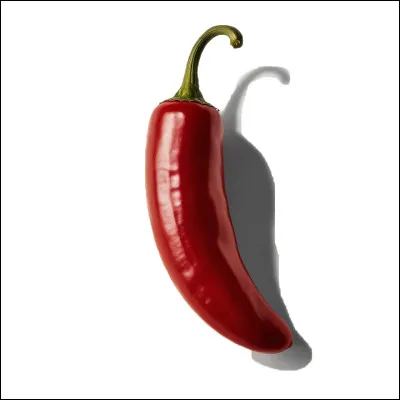 Quel est le nom de cet objet ?