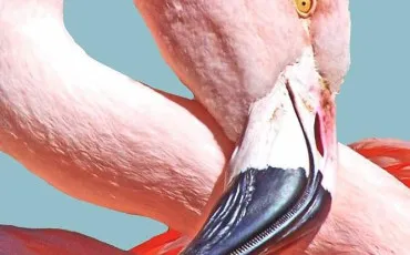 Quiz Test de personnalit�