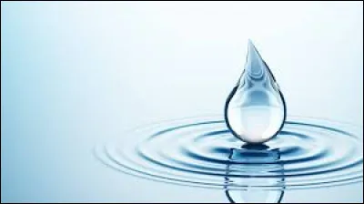 Soci&eacute;t&eacute; - Quels sont les signes du zodiaque ayant l'eau pour &eacute;l&eacute;ment ?