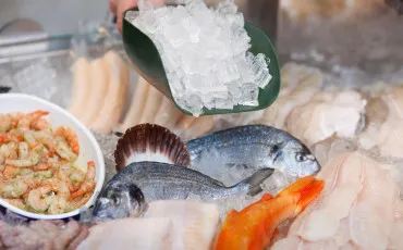 Quiz Culture g�n�rale