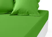 Test Pr�f�res-tu le bleu ou le vert ?