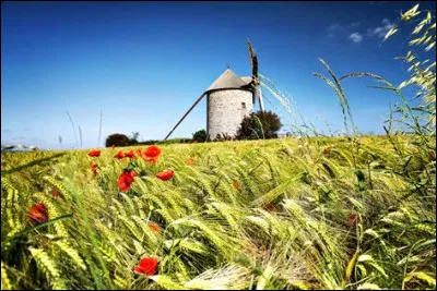 Quelle est ta couleur favorite parmi celles-ci ?