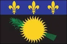  quel pays appartient ce drapeau ?