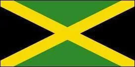  quel pays appartient ce drapeau ?