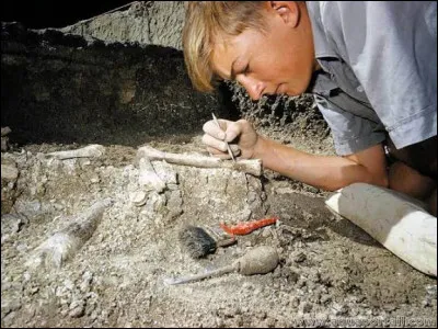 Quel le bon mot pour d&eacute;finir l'&eacute;tude des fossiles ?