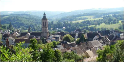 Felletin est une petite cit&eacute; industrielle qui doit son activit&eacute; &agrave; son savoir-faire textile. Ave quelle ville fut-elle souvent en concurrence au sujet de la tapisserie ?