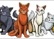 Quiz Plume Grise, �toile de Feu ou les deux ?