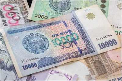 Quelle est la monnaie du pays ?