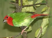 Quiz Personnage litt�raire (15)