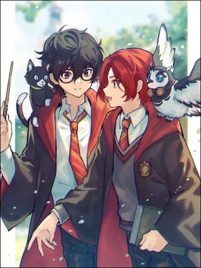 Tu pr&eacute;f&egrave;res une image...