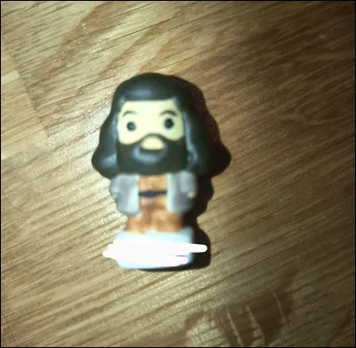 Qui est ce demi-g&eacute;ant ?