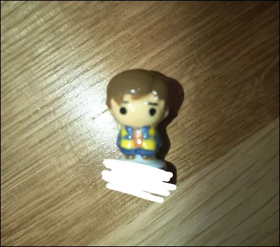 Le dernier n'est pas un personnage de Harry Potter mais des Animaux fantastiques.Qui est-ce ?