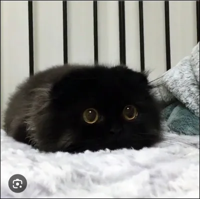 Tu veux attirer les gens par...