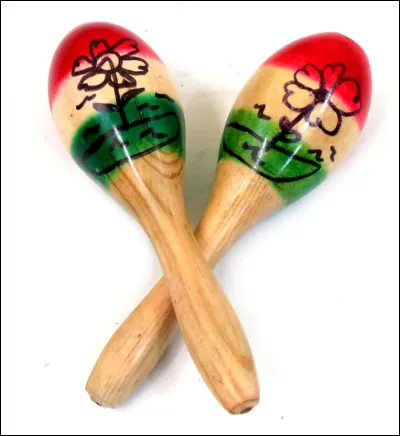 Comment nomme-t-on les personnes qui jouent des maracas ?