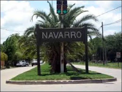 Qui joue le r&ocirc;le du commissaire Navarro ?