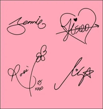 Quel est leur lightstick ?