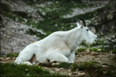 Celui-ci n�est pas &eacute;missaire, je parle bien s&ucirc;r...