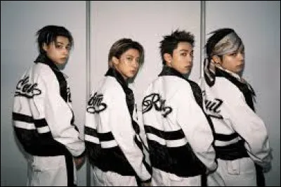 Quelle est leur premi&egrave;re chanson ?