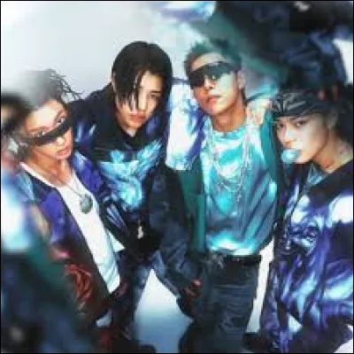 Quel est l'&acirc;ge du maknae ?