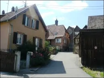 Votre ami Fr&eacute;d&eacute;ric vous emm&egrave;ne &agrave; la d&eacute;couverte de Dieffenthal. Village de l'aire d'attraction S&eacute;lestadienne, il se situe dans le d&eacute;partement ...