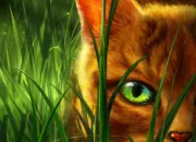 Quiz LGDC - Mes personnages pr�f�r�s