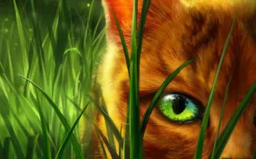 Quiz Litt�rature, po�sie