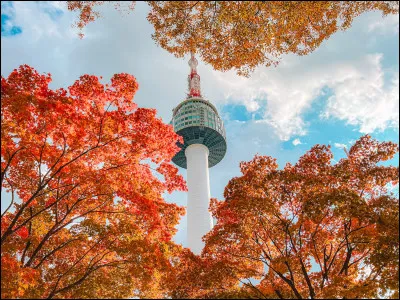 Lequel de ces monuments est un monument c&eacute;l&egrave;bre de S&eacute;oul ?