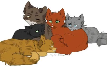 Quiz Test de personnalit�