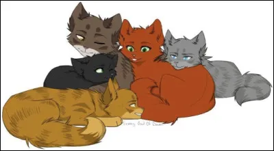 As-tu des fr&egrave;res et s�urs ?