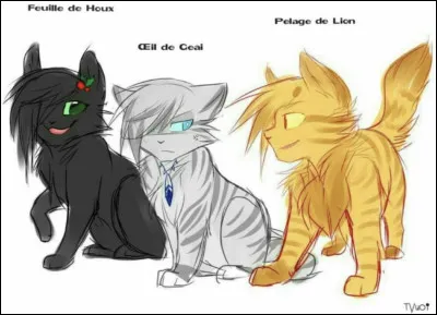 Si tu avais un pouvoir, lequel aurais-tu ?