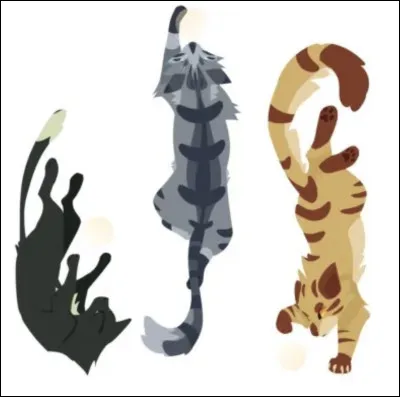 Quelle est ta couleur pr&eacute;f&eacute;r&eacute;e ?