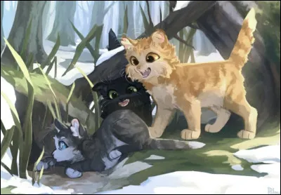 Es-tu une fille ou un gar&ccedil;on ?