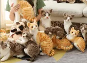 Test Quel chat de LGDC es-tu entre �il de Geai, Feuille de Houx et Pelage de Lion ?