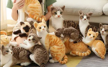 Quiz Test de personnalit�