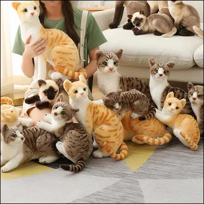 Quel pelage aimerais-tu entre ceux-ci ?