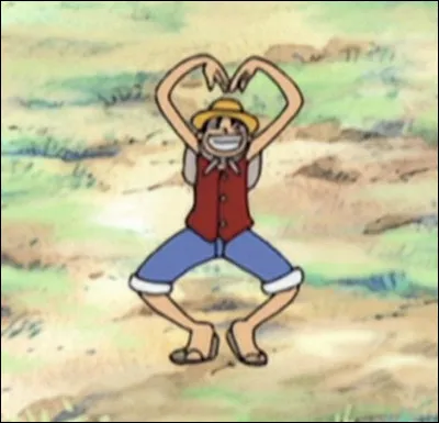 Ta couleur pr&eacute;f&eacute;r&eacute;e est le :