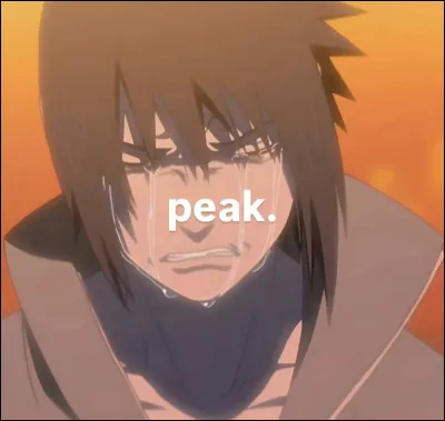 Ton anime pr&eacute;f&eacute;r&eacute; est :