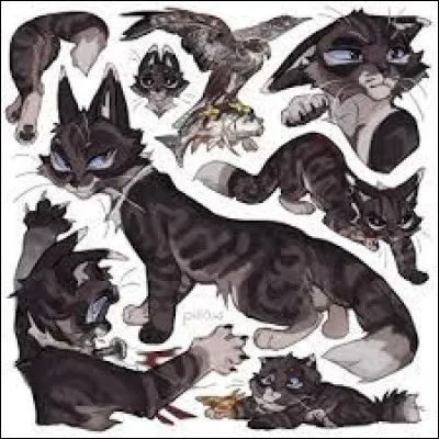 Il a suivi le m&ecirc;me chemin que son p&egrave;re. C'est :