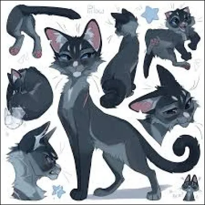 Bonus 1. Ah l&agrave; l&agrave;, elle est zinzin, ces temps-ci ! &Agrave; cause tu premier. Qui est-ce ?