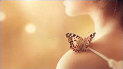 Si un papillon vient se poser sur votre t&ecirc;te ou votre &eacute;paule, c'est un signe de bon pr&eacute;sage.