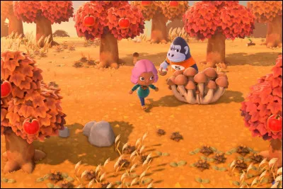 Quels sont les premiers mat&eacute;riaux que l�on ramasse ?