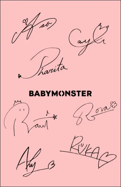 Quel est leur lightstick ?