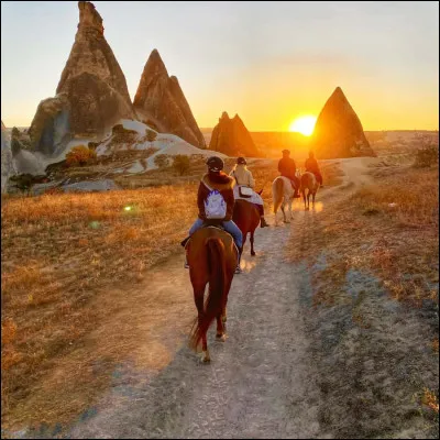 On le confond souvent avec le li&egrave;vre.