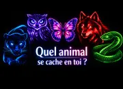 Test Quel animal se cache en toi ?