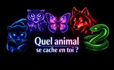 Quiz Test de personnalit�