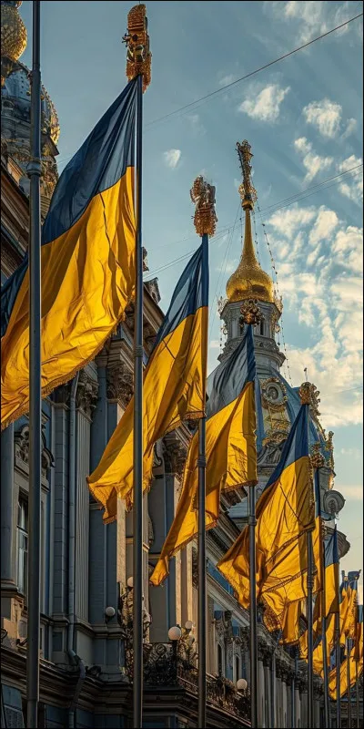 Quel drapeau vois-tu sur l'image ?