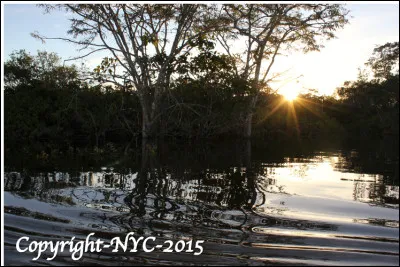 Quand le soleil se couche sur la r&eacute;serve faunique de Cuyabeno au coeur de la for&ecirc;t amazonienne, o&ugrave; est-ton ?