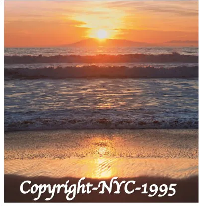 Quand le soleil se couche sur la plage de la ville d'Hollywood, o&ugrave; est-on ?